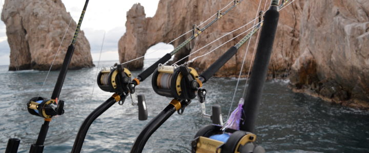 Cabo fishing reports Cabo fishing reports