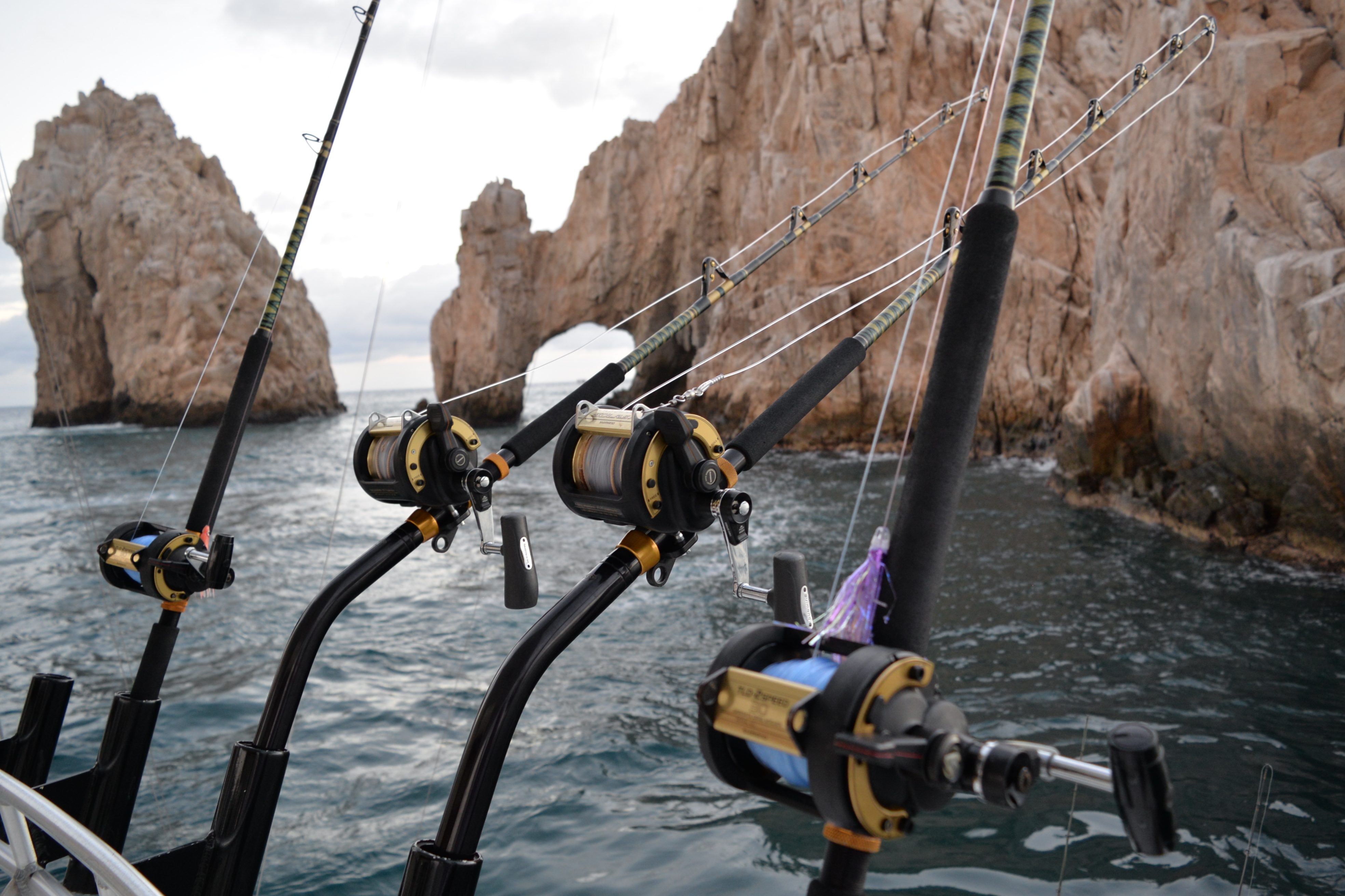 Cabo fishing reports 16 deep sea fishing in Cabo, Cabo yacht charters, Cabo sportfishing reports, Cabo fishing reports, Cabo sportfishing rentals, Cabo sportfishing charters, Gordo bank fishing,