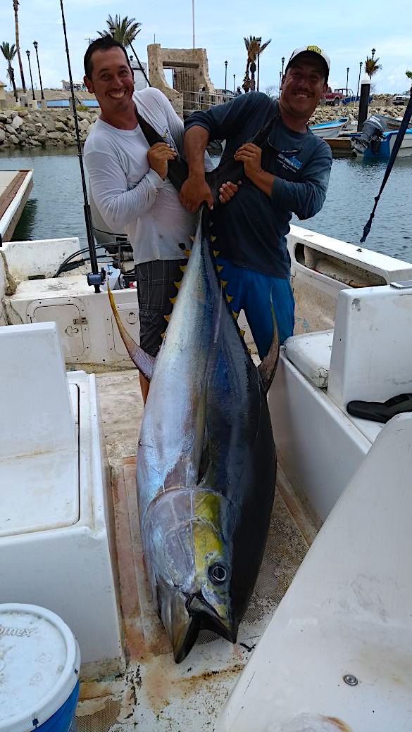 Cabo fishing reports/ Cabo fishing report August 19th 2017 44 deep sea fishing in Cabo, Cabo yacht charters, Cabo sportfishing reports, Cabo fishing reports, Cabo sportfishing rentals, Cabo sportfishing charters, Gordo bank fishing,