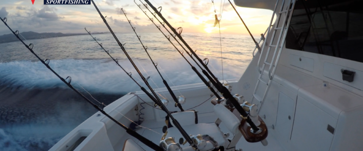 Cabo fishing report/ Cabo fishing reports August 16th 2017 Cabo fishing report/ Cabo fishing reports August 16th 2017
