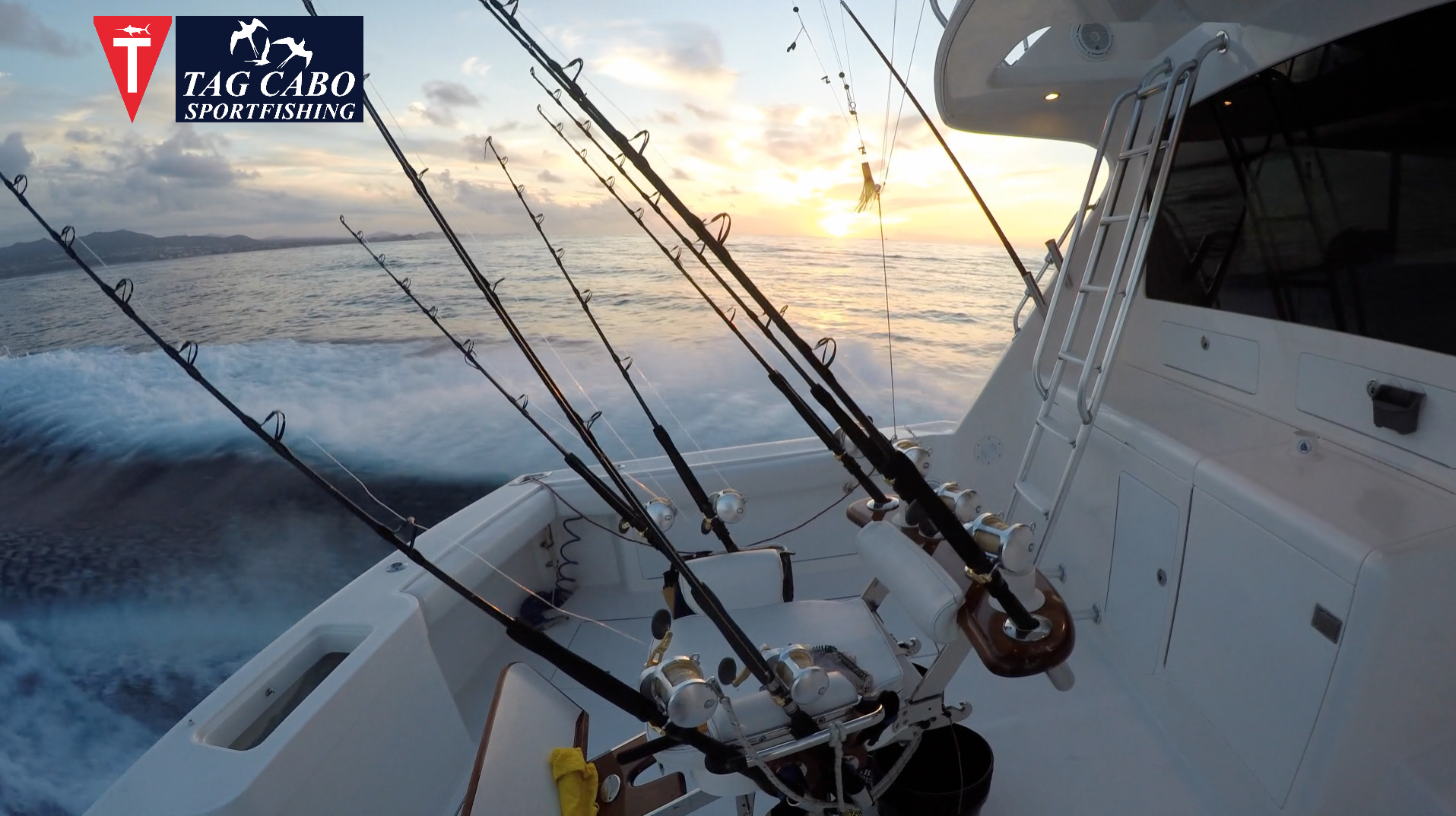 Cabo fishing report/ Cabo fishing reports August 16th 2017 2 deep sea fishing in Cabo, Cabo yacht charters, Cabo sportfishing reports, Cabo fishing reports, Cabo sportfishing rentals, Cabo sportfishing charters, Gordo bank fishing,
