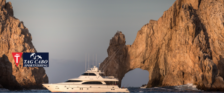 Fishing on board a luxury yacht charter in Cabo San Lucas Fishing on board a luxury yacht charter in Cabo San Lucas