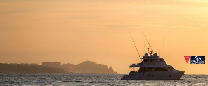 Cabo San Lucas: The Ultimate Summer Vacation Spot Cabo San Lucas: The Ultimate Summer Vacation Spot