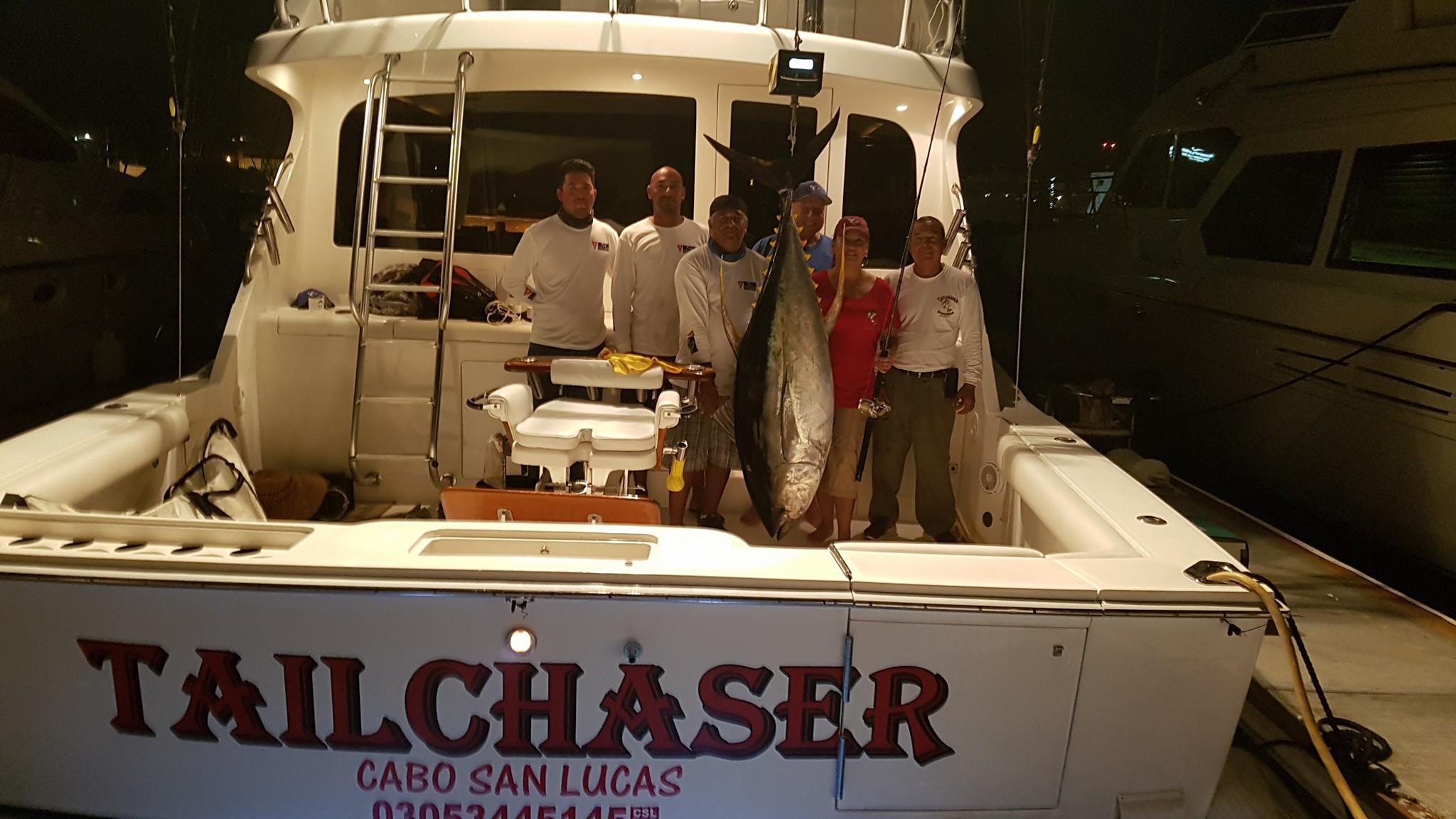 Cabo fishing report September 34 deep sea fishing in Cabo, Cabo yacht charters, Cabo sportfishing reports, Cabo fishing reports, Cabo sportfishing rentals, Cabo sportfishing charters, Gordo bank fishing,