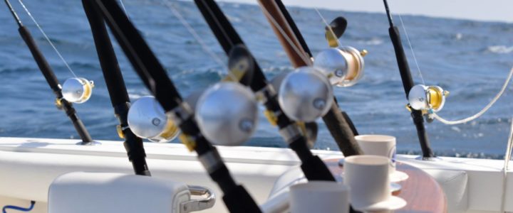 Deep Sea Fishing in Los Cabos Deep Sea Fishing in Los Cabos