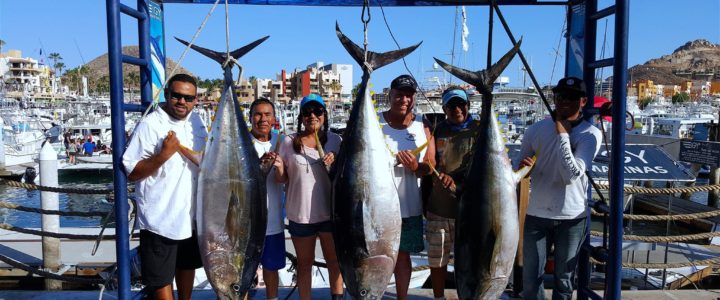Deep Sea Fishing in Los Cabos: The Ultimate Vacation Experience Deep Sea Fishing in Los Cabos: The Ultimate Vacation Experience