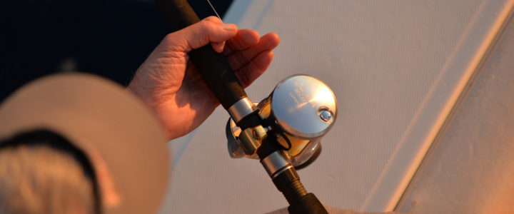 Cabo San Lucas fishing tournaments Cabo San Lucas fishing tournaments