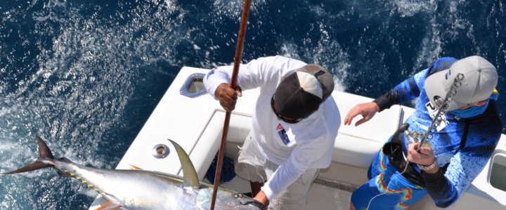 Keep Yourself Healthy on Vacation: Make Time to Fish Keep Yourself Healthy on Vacation: Make Time to Fish