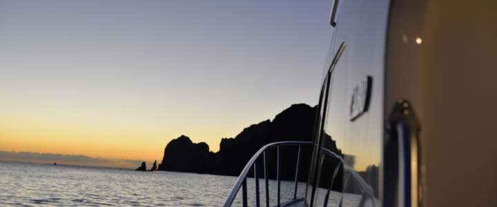 Cabo fishing report November 2017 Cabo fishing report November 2017