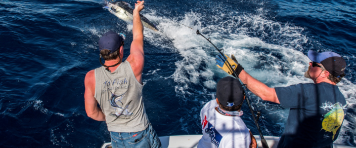 Everything You Need to Know About Fly Fishing Everything You Need to Know About Fly Fishing