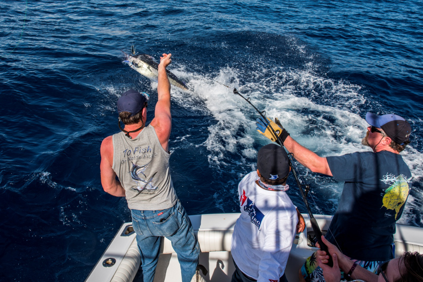 Everything You Need to Know About Fly Fishing 18 Everything You Need to Know About Fly Fishing