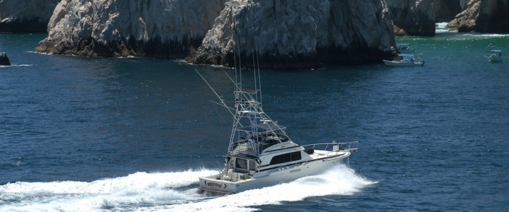 Picking the Best Time for Deep Sea Fishing in Cabo San Lucas, Mexico Picking the Best Time for Deep Sea Fishing in Cabo San Lucas, Mexico