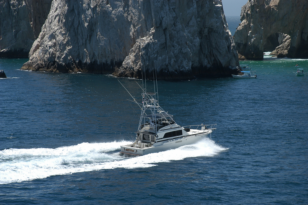 Picking the Best Time for Deep Sea Fishing in Cabo San Lucas, Mexico 19 Picking the Best Time for Deep Sea Fishing in Cabo San Lucas, Mexico