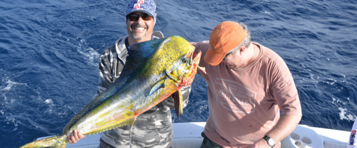 Cabo San Lucas fishing report January 2018 Cabo San Lucas fishing report January 2018