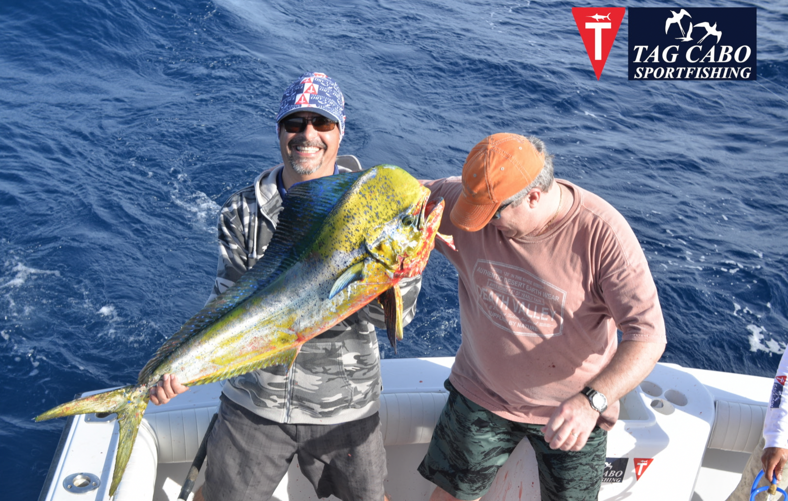 Cabo San Lucas fishing report January 2018 17 Cabo San Lucas fishing reports