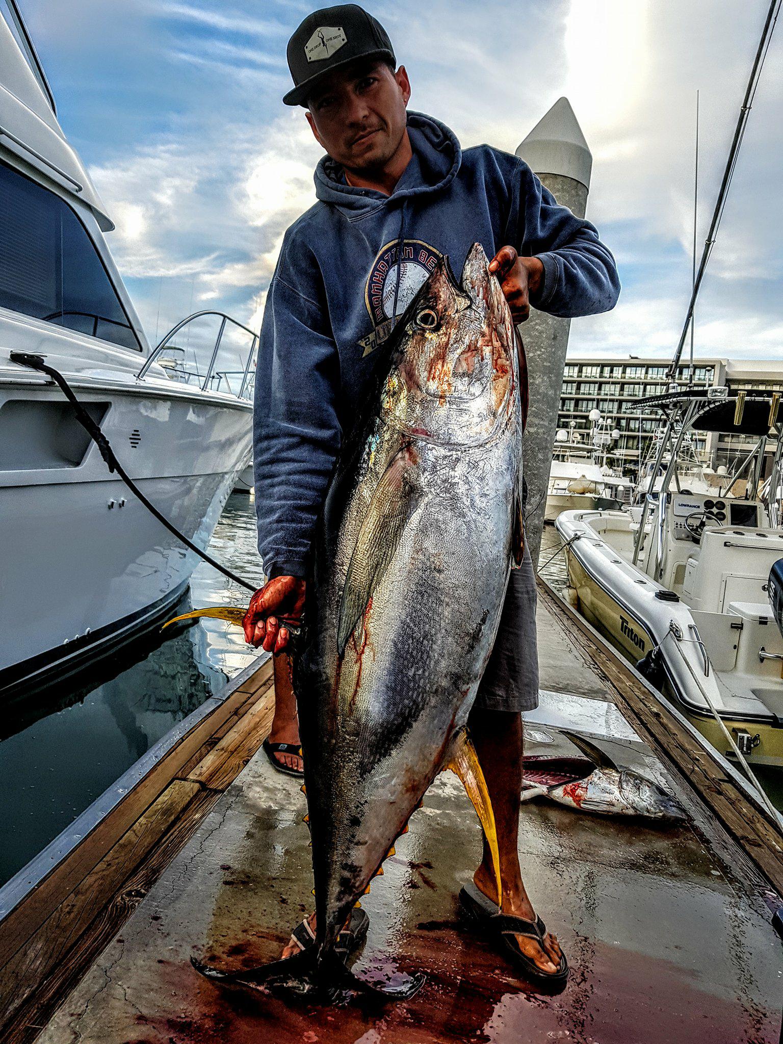 Cabo fishing report February 27th 2018 3 Cabo fishing report