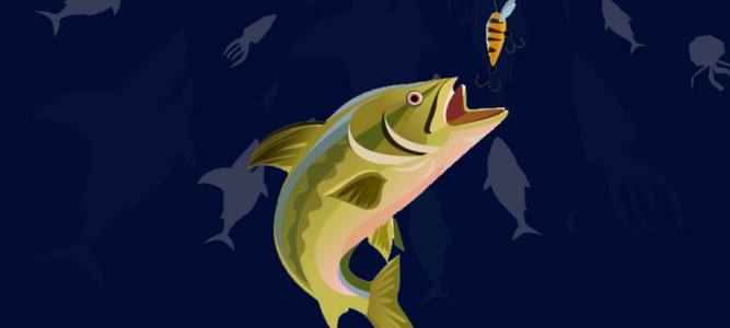Fishing Tips For Beginners Fishing Tips For Beginners
