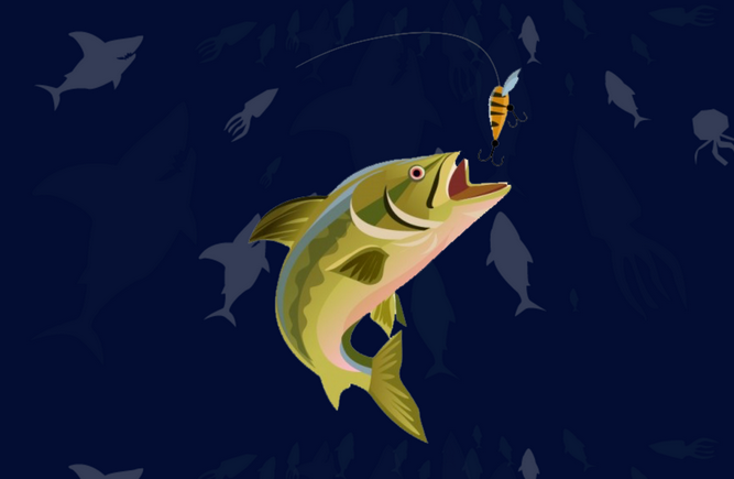 Fishing Tips For Beginners 5 fishing tips