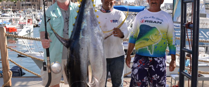 Cabo fishing report February 9, 2018 Cabo fishing report February 9, 2018
