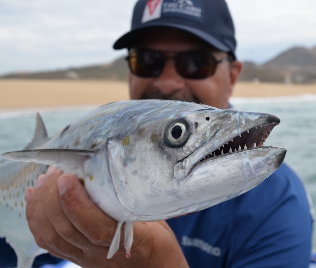 Cabo fishing report February 2018 13 Cabo San Lucas fishing reports