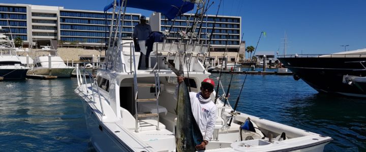 Cabo fishing report Cabo fishing report