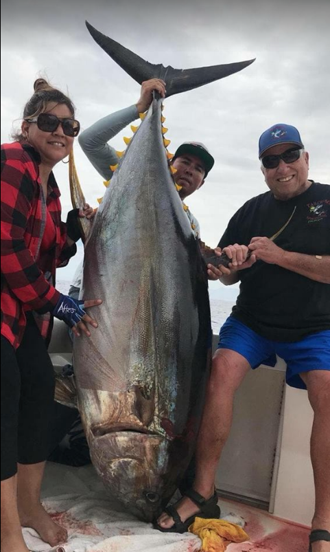 The big yellowfin tunas are in town! 17 Cabo fishing report