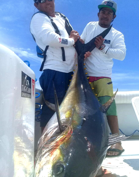 An Fishing Expedition of A Lifetime: Catching 200 lbs. Tunas in Cabo San Lucas! 15 fishing expedition of a life time