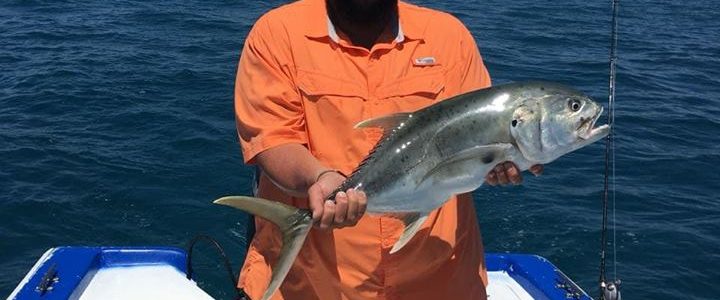 Cabo San Lucas fishing report May 1st 2018 Cabo San Lucas fishing report May 1st 2018
