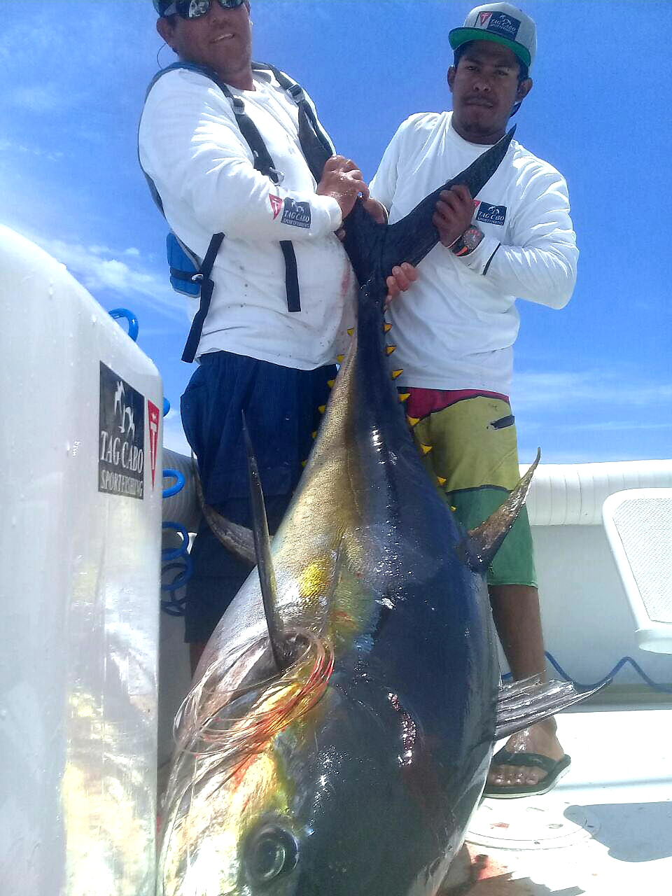 An Fishing Expedition of A Lifetime: Catching 200 lbs. Tunas in Cabo San Lucas! 13 An Fishing Expedition of A Lifetime: Catching 200 lbs. Tunas in Cabo San Lucas