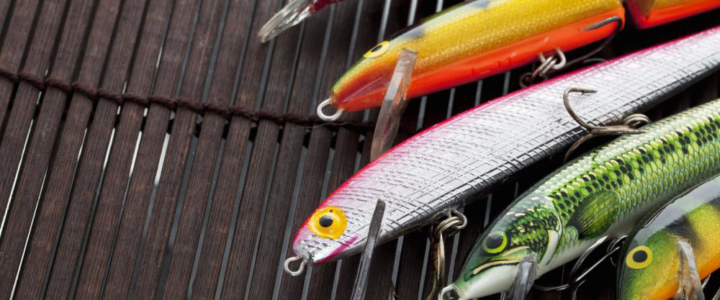 Does Color Matter? Two Factors That Affect Your Fishing Experience Does Color Matter? Two Factors That Affect Your Fishing Experience