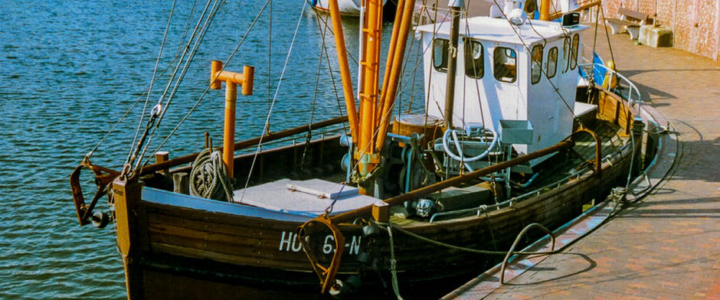 What to Wear on a Deep Sea Fishing Trip What to Wear on a Deep Sea Fishing Trip