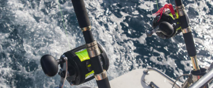 What Is A Sport Fishing License And Do I Need One to Fish At Cabo San Lucas? What Is A Sport Fishing License And Do I Need One to Fish At Cabo San Lucas?
