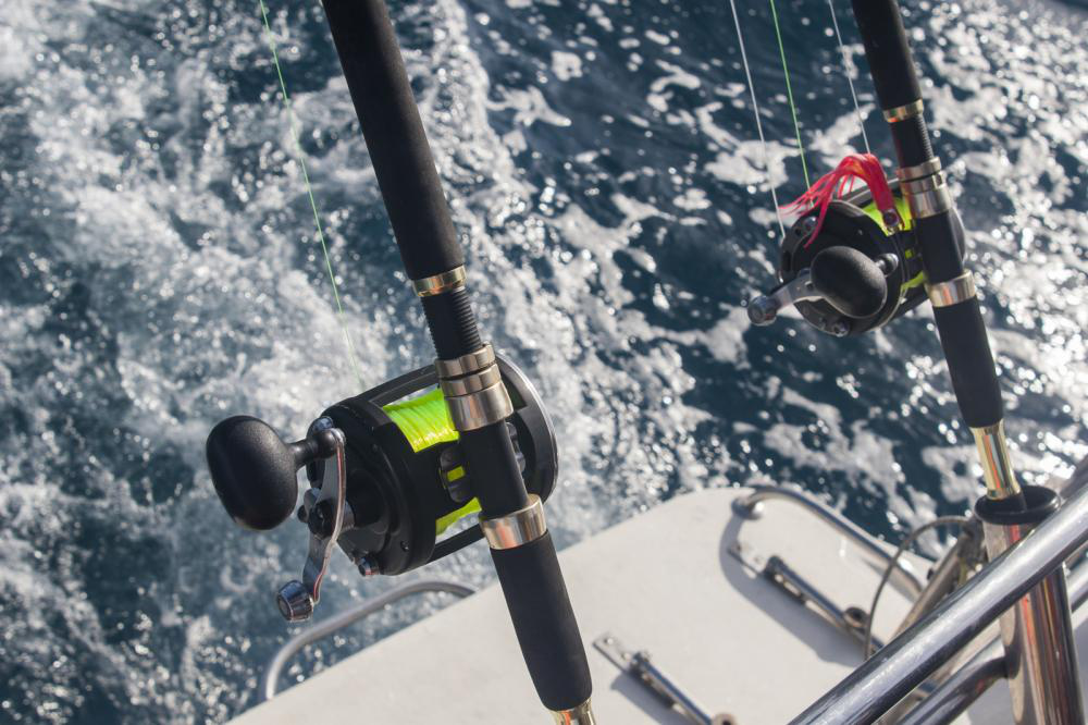 What Is A Sport Fishing License And Do I Need One to Fish At Cabo San Lucas? 8 What Is A Sport Fishing License And Do I Need One to Fish At Cabo San Lucas?