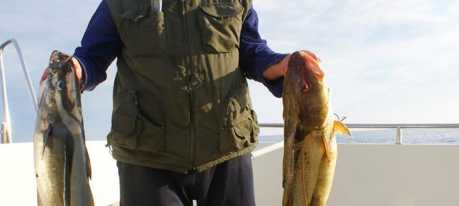 The Big Catch To Look Out For In Cabo The Big Catch To Look Out For In Cabo