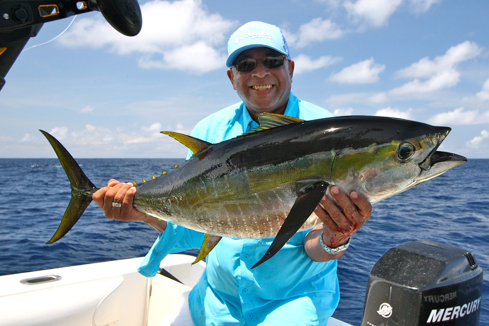 5 of the Toughest Game Fish to Catch on Your Next Sportfishing Trip 2 Yellowfin Tuna