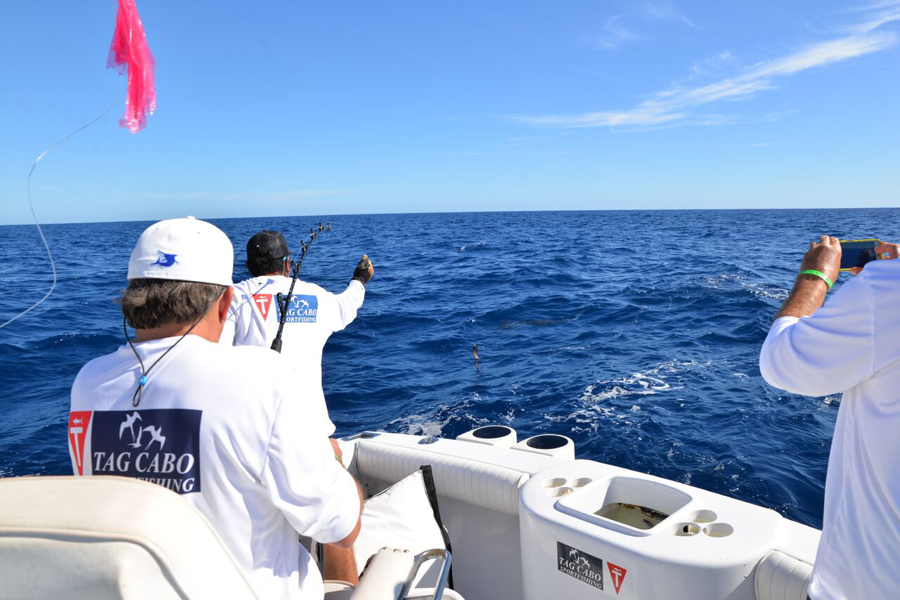 Stayin’ Alive: Best Ways To Keep Your Bait And Catch Fresh 5 Best Ways To Keep Your Bait And Catch Fresh
