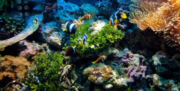 Where To Look For Fish – Tips For Anglers Where To Look For Fish – Tips For Anglers