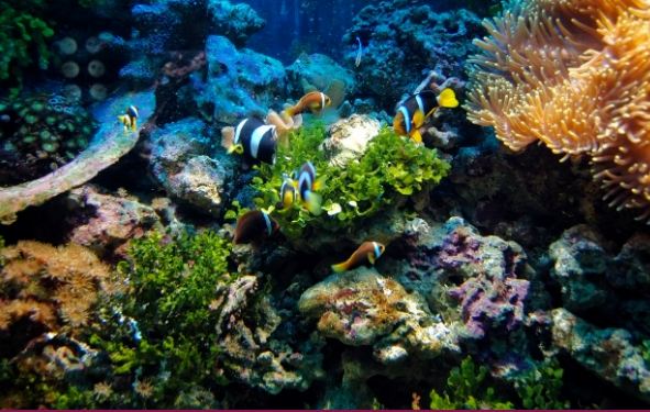 Where To Look For Fish - Tips For Anglers 4 Where To Look For Fish - Tips For Anglers