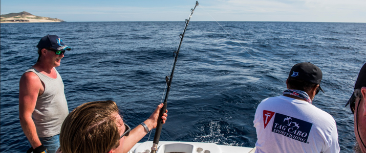Fly Gear Essentials: 7 Must-Haves of a Great Fly Fishing Kit Fly Gear Essentials: 7 Must-Haves of a Great Fly Fishing Kit