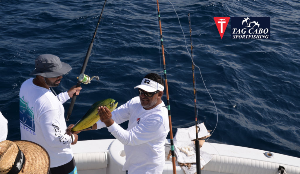 Fly Gear Essentials: 7 Must-Haves of a Great Fly Fishing Kit 1 small and big fishing rods