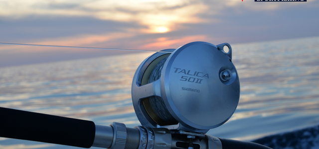 Types of Fishing Reels Most Used by Anglers Types of Fishing Reels Most Used by Anglers