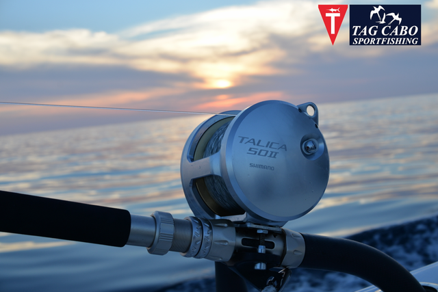 Types of Fishing Reels Most Used by Anglers 2 tagcabo spinning reel