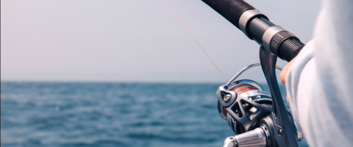 What Makes Fishing In Cabo San Lucas So Different From The Rest? What Makes Fishing In Cabo San Lucas So Different From The Rest?