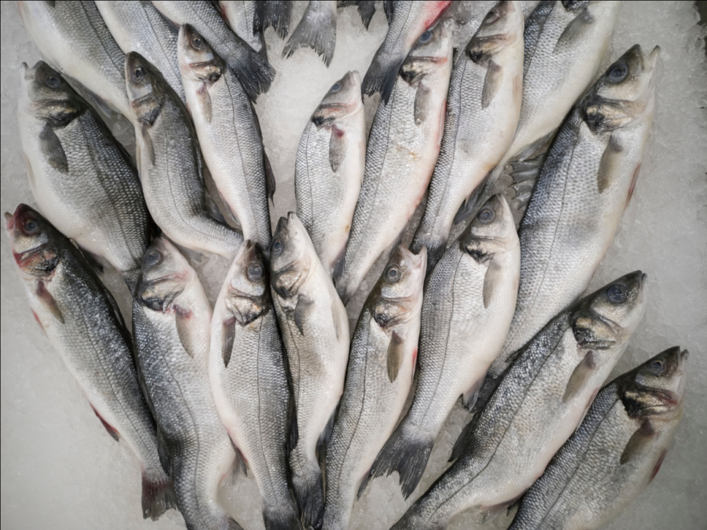Myths About Recreational Fishing That Need To Go Away! 1 plenty of fish in the sea