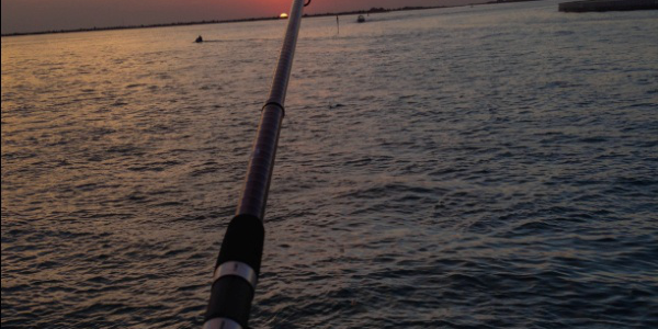 Go Fancy: 4 Ways How Yachts Optimize Your Fishing Experience Go Fancy: 4 Ways How Yachts Optimize Your Fishing Experience