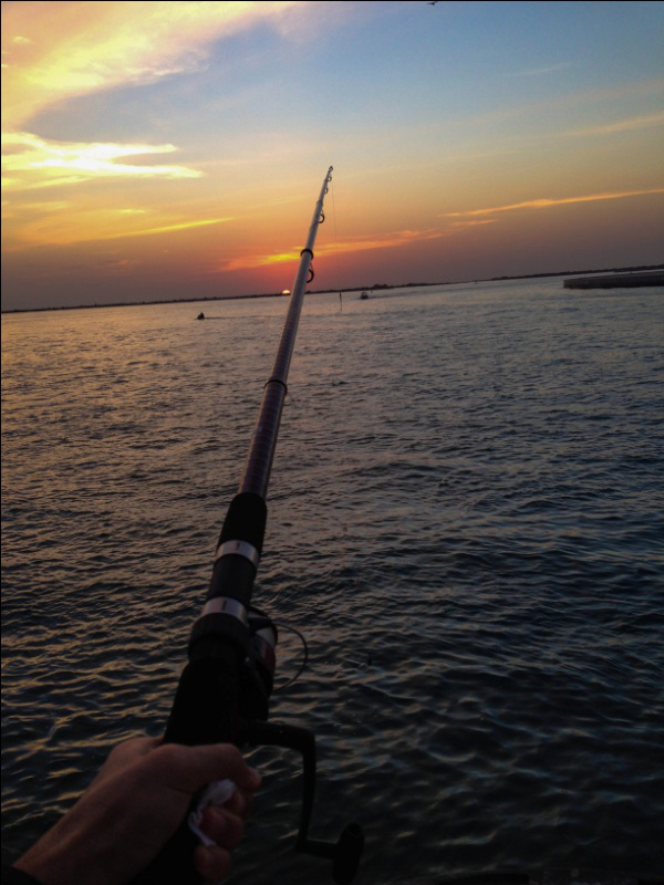 Go Fancy: 4 Ways How Yachts Optimize Your Fishing Experience 7 Yachts Optimize Your Fishing Experience