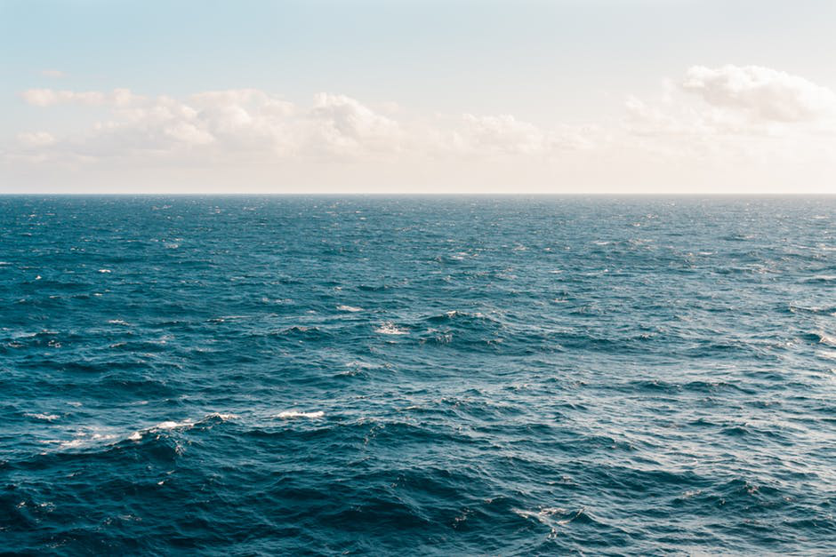 Saving Nemo—3 Ways We Can Save The Sea 15 3 Ways We Can Save The Sea