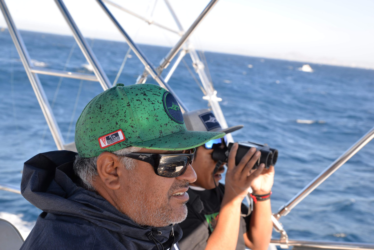 Fish off the Coast of Cabo San Lucas on the 38’ Albemarle Fish off the Coast of Cabo San Lucas on the 38’ Albemarle
