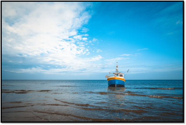 The Time Is Now—4 Reasons Why We Should Protect Our Oceans 8 Why We Should Protect Our Oceans