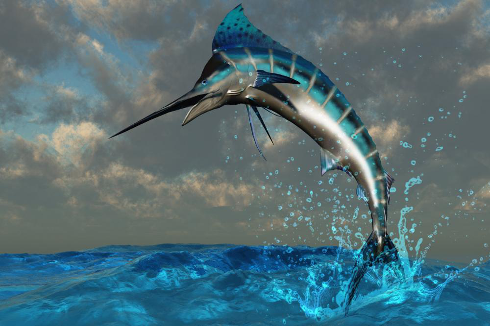 5 of the Toughest Game Fish to Catch on Your Next Sportfishing Trip 1 Marlin